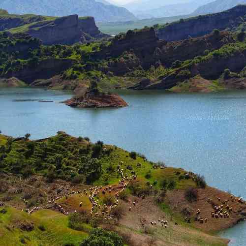 مهدی زارعی آخ که میبینی تو مارا خودنمایی میکنی
